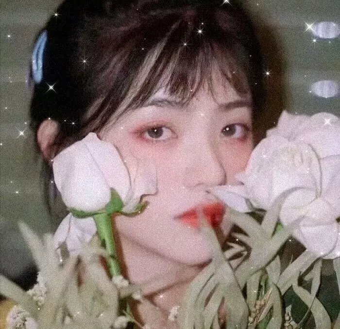 神驹黑美人